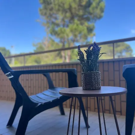 Madalena Apartament Vila Nova de Gaia